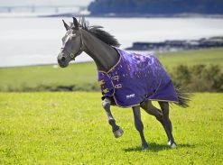 Shires Tempest Original Lite Turnout Rug Amethyst