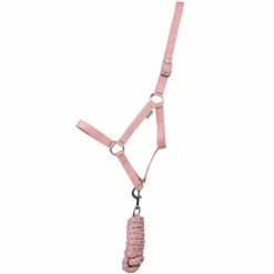 Hy Equestrian Synergy Head Collar Rose/Silver