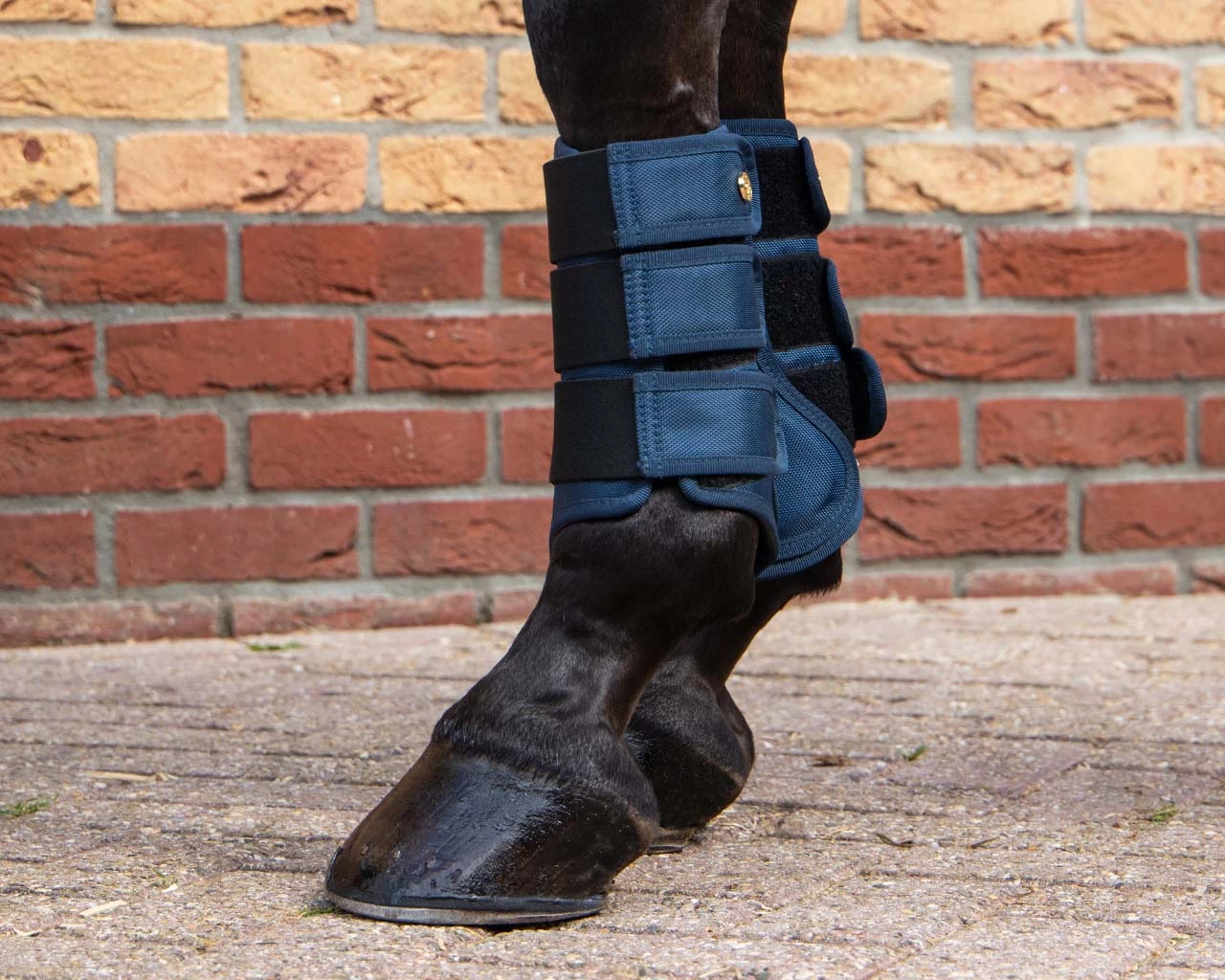 QHP Leg Protection Havana Navy - Image 3