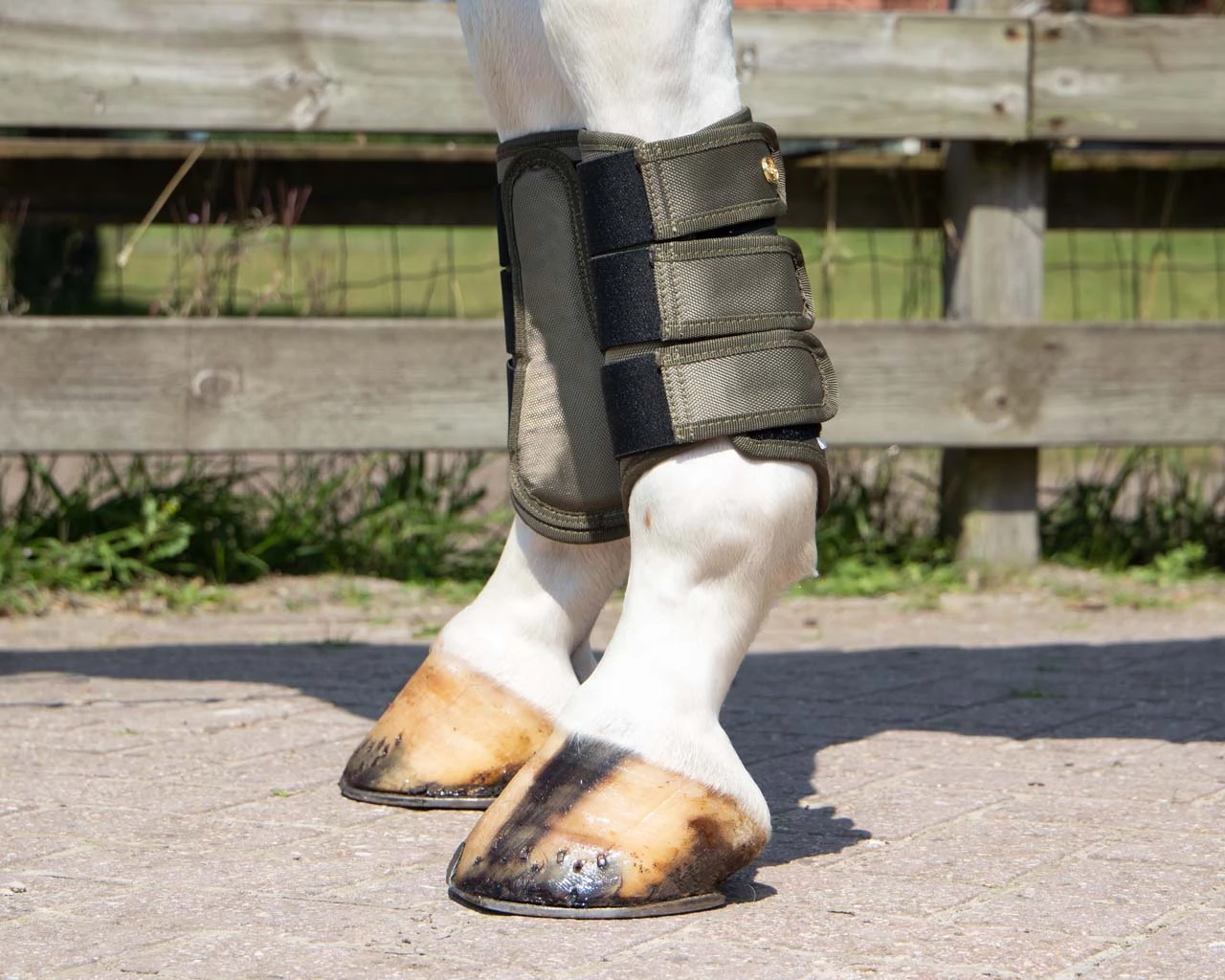 QHP Leg Protection Havana Olive - Image 3