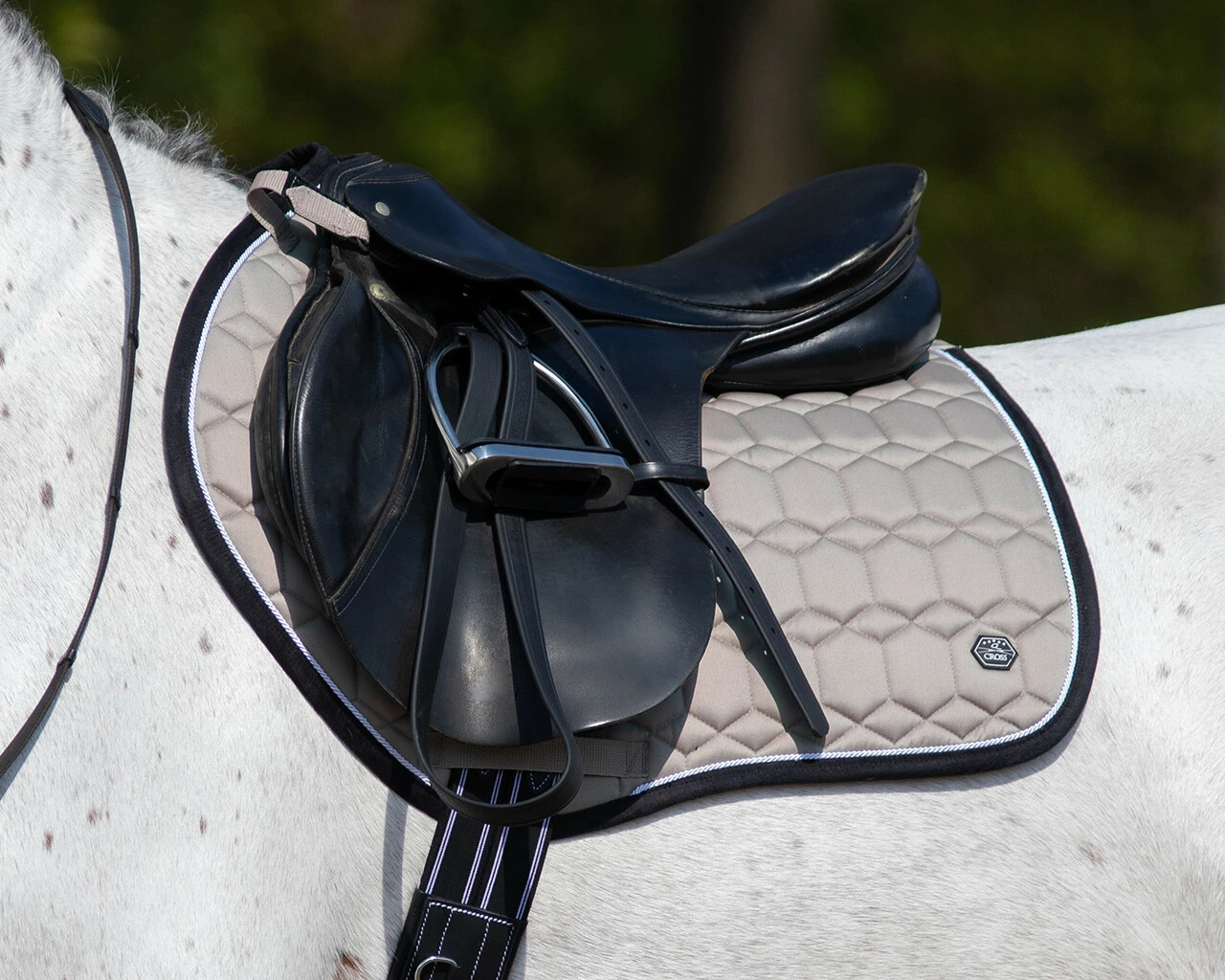 QHP Eldorado Saddle Pad Biscuit AP Full - Image 2