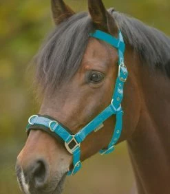 Waldhausen Economic Lunging Halter Azure Blue