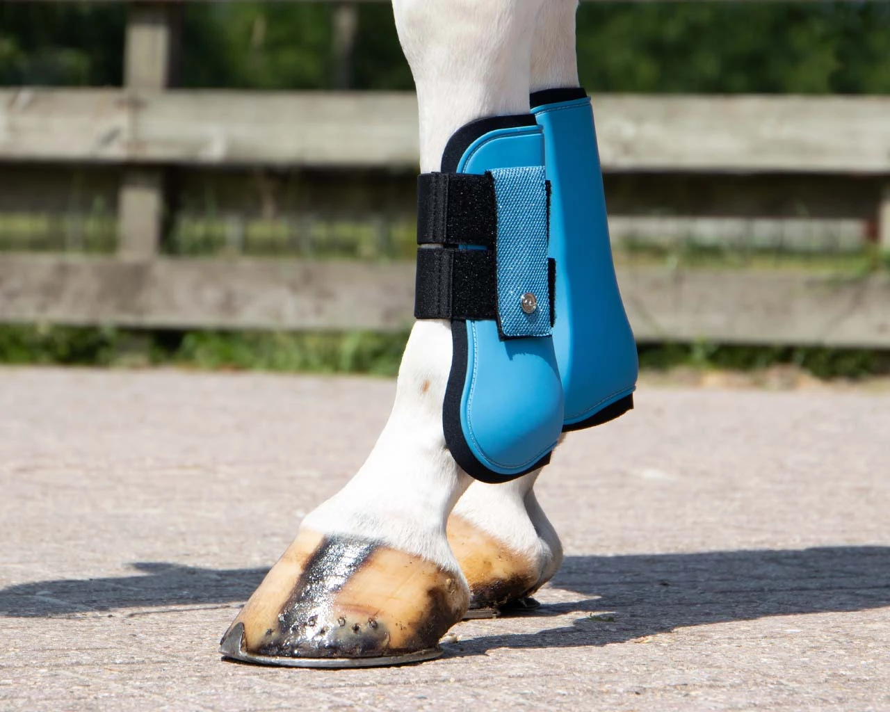 QHP Tendon Boots Rio Ice Blue - Image 2