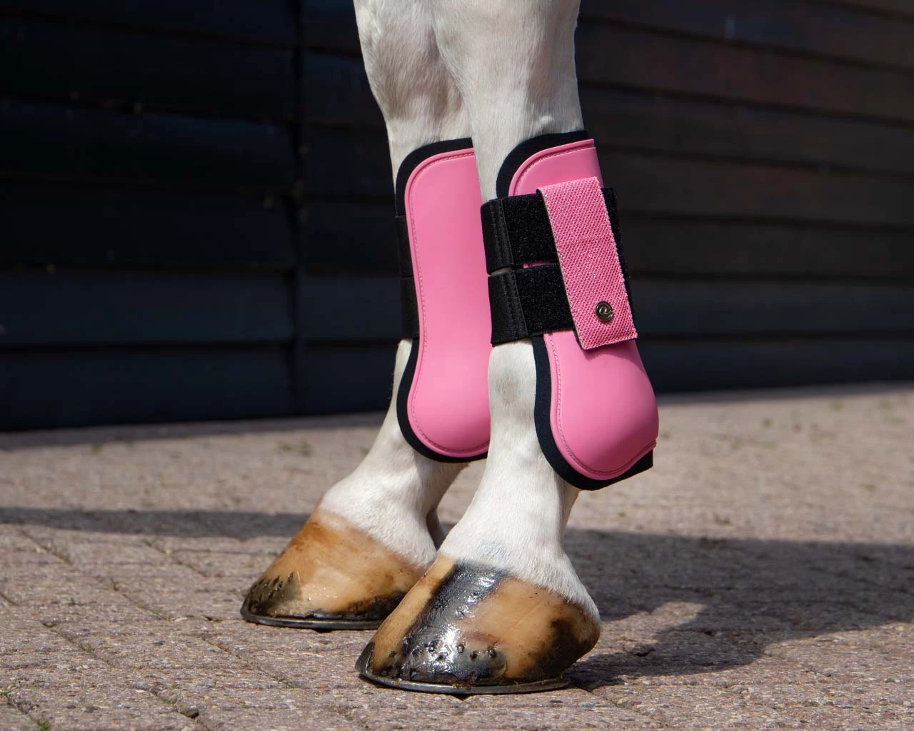 QHP Tendon Boots Rio Powder Pink - Image 2