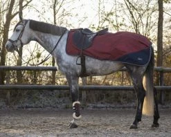 QHP Exercise Sheet Turnout Collection Fleece Saddlery