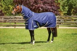 Weatherbeeta Comfitec Essential Detach-A-Neck Lite Plus 50g Navy/Red/Silver