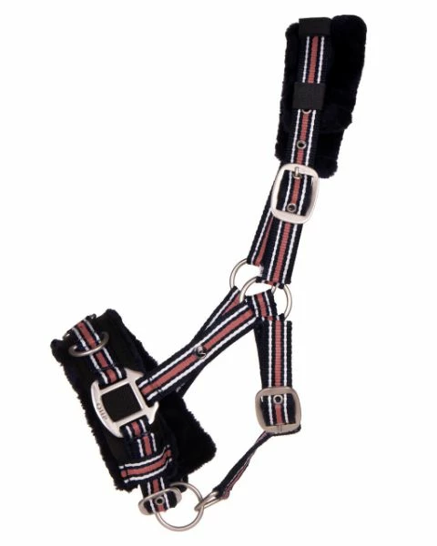 QHP Cavesson Collection Terra