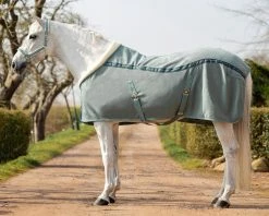QHP Show Rug Equestrian Dream Dusty Olive