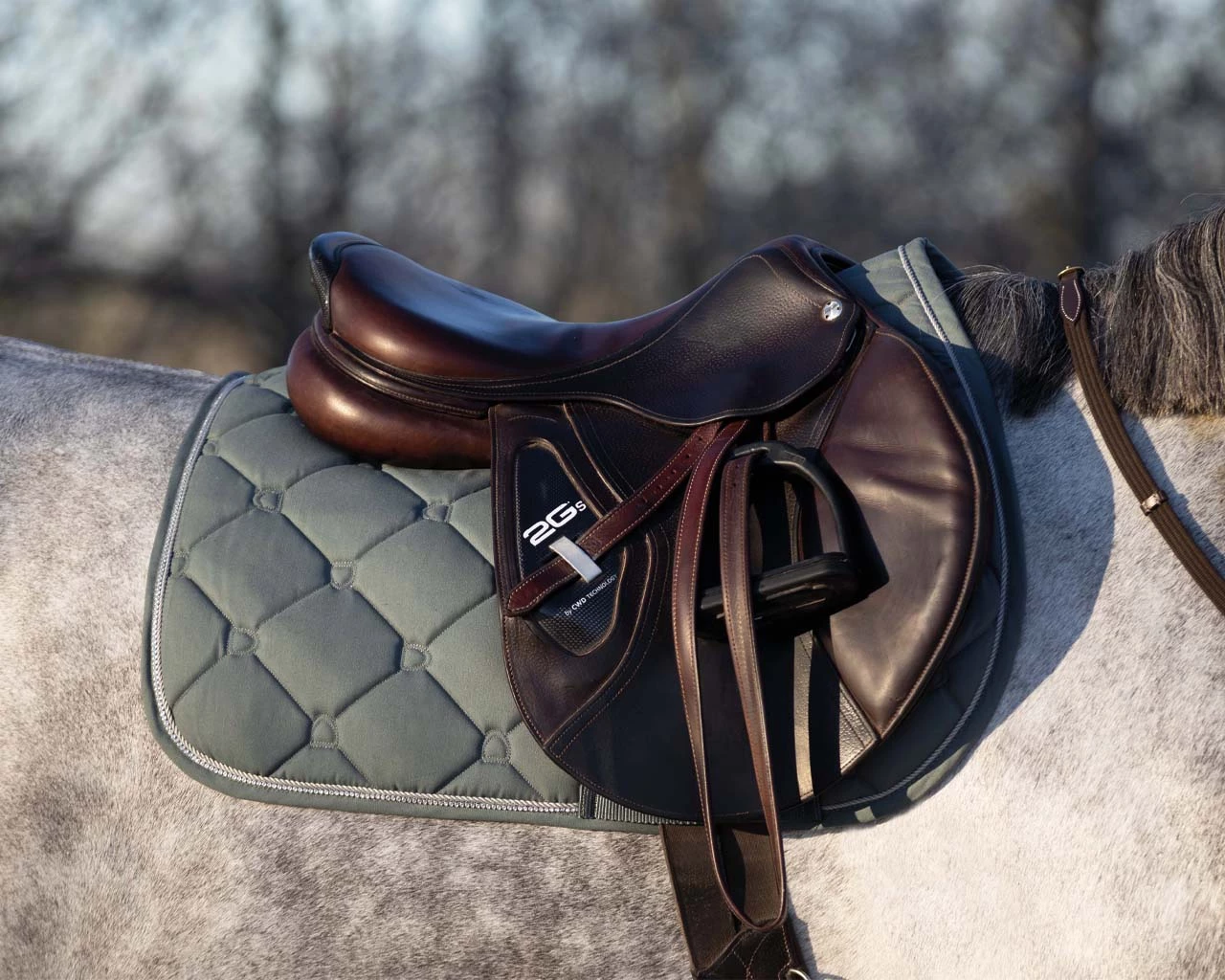 QHP Saddlepad Phoenix AP Olive Full - Image 2