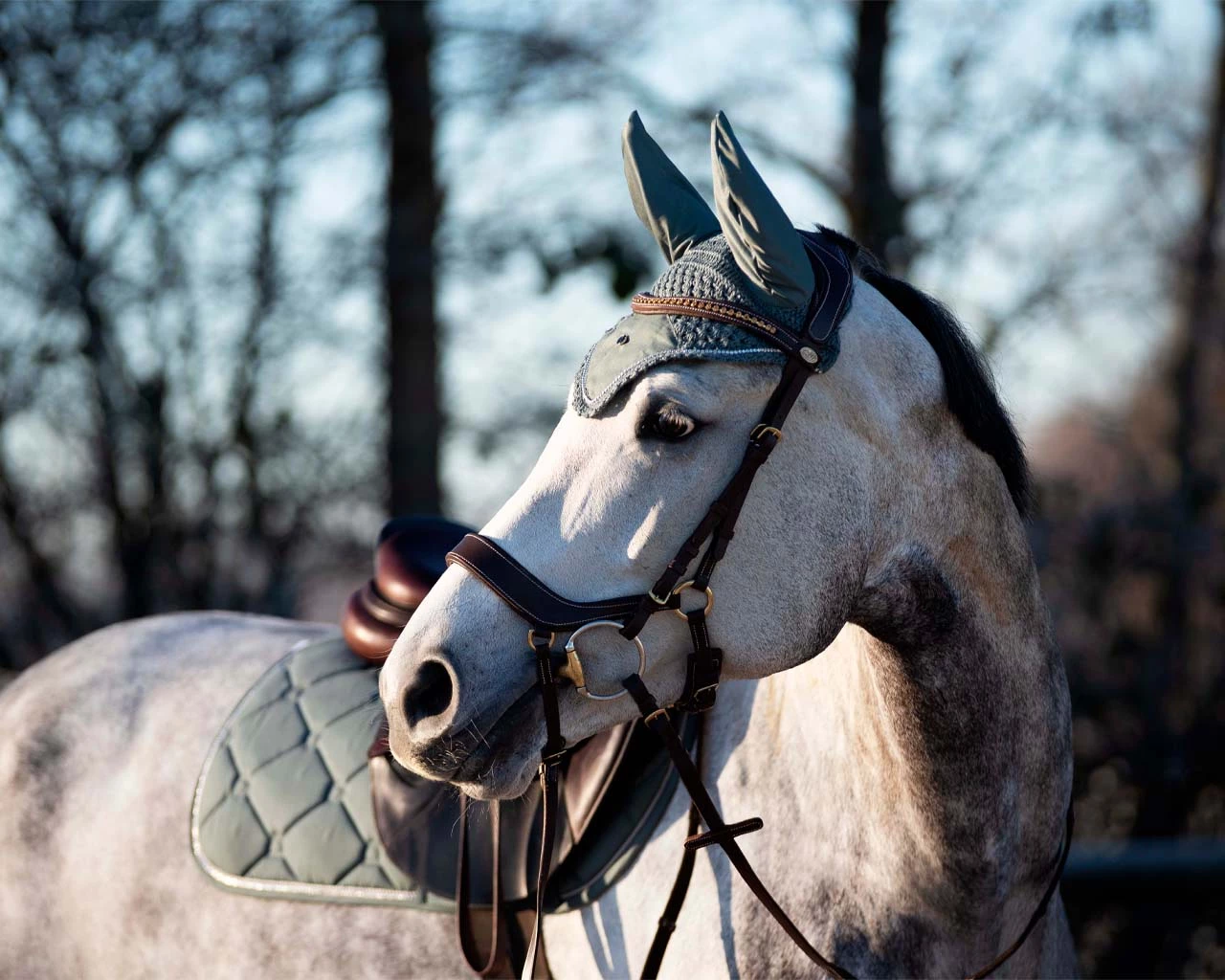QHP Ear Net Phoenix Olive Full - Image 2
