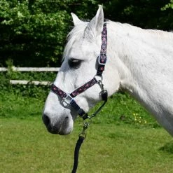 Rhinegold Diamond Pattern Headcollar Set Navy