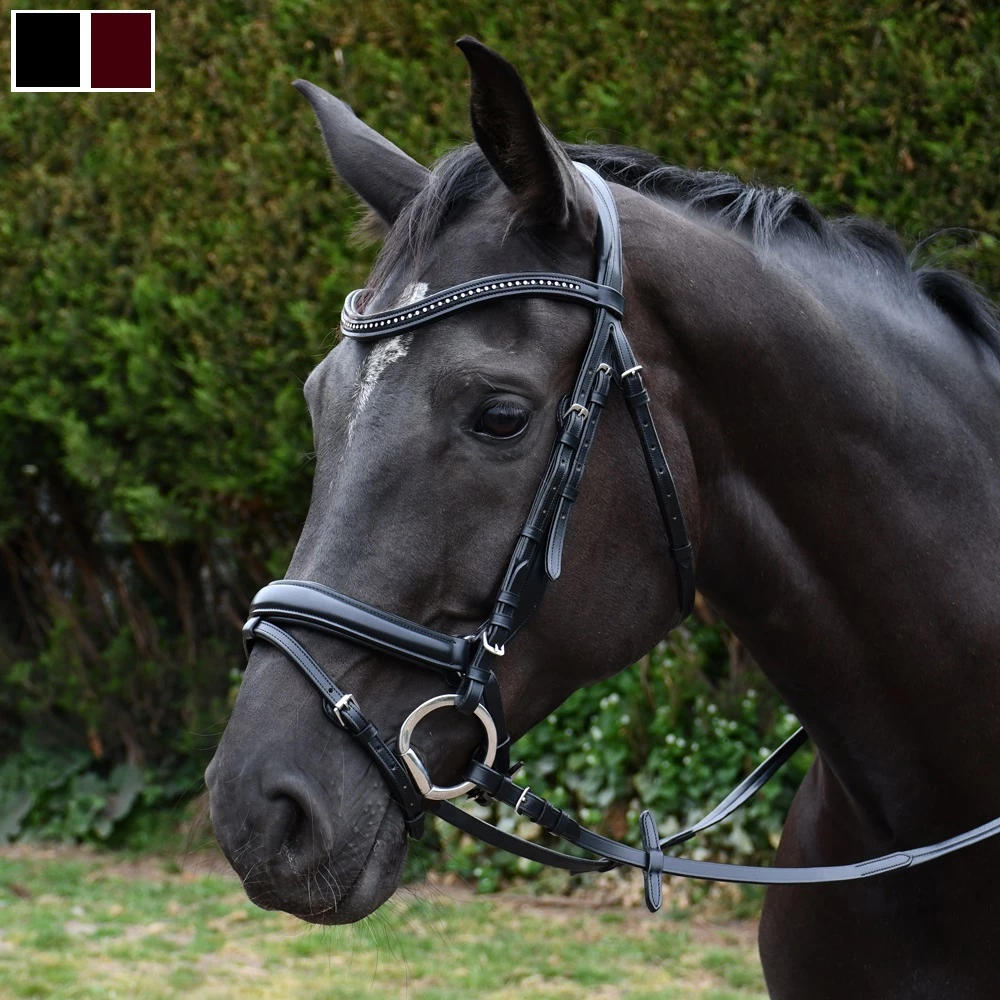 Rhinegold Italia Anatomical Flash Bridle