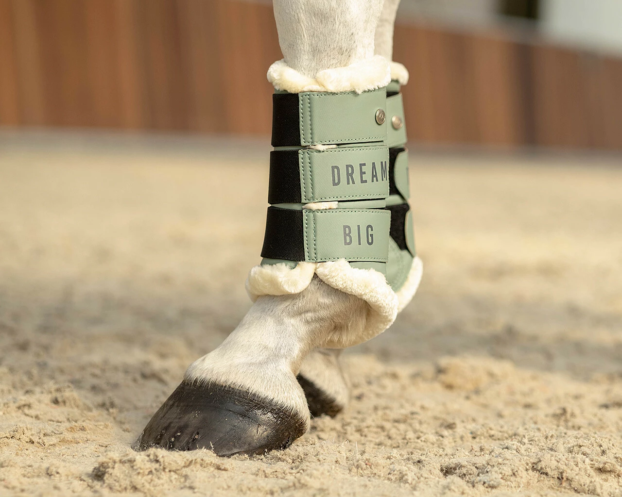 QHP Leg Protection Equestrian Dream Dusty Olive - Image 2