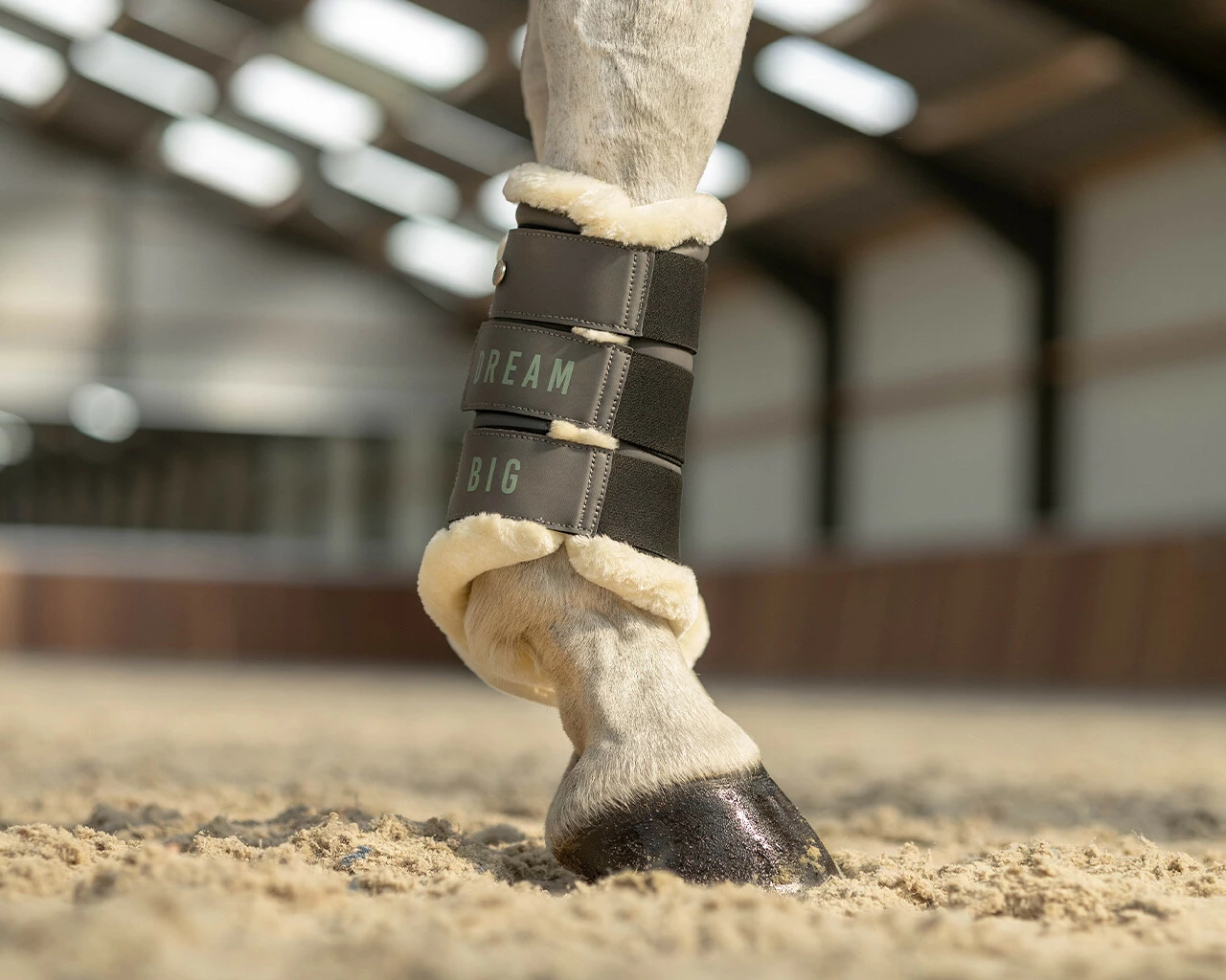 QHP Leg Protection Equestrian Dream Iron Grey - Image 2