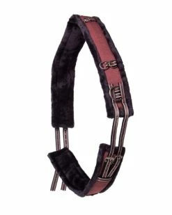 QHP Lunging Girth Collection Terra
