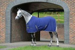 Weatherbeeta Cotton Show Sheet II Standard Neck Dark Blue/Grey/White