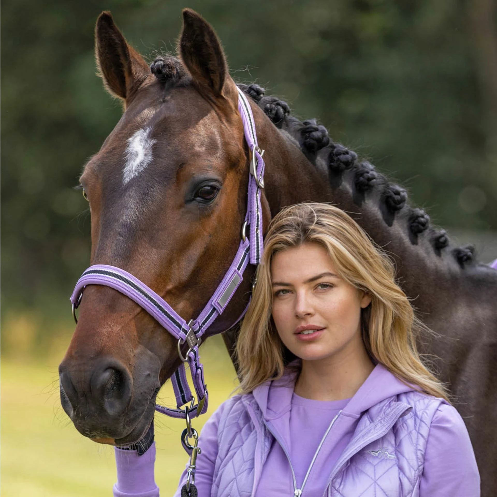 HV Polo Headcollar HVPClassic Stripe Violet - Image 2
