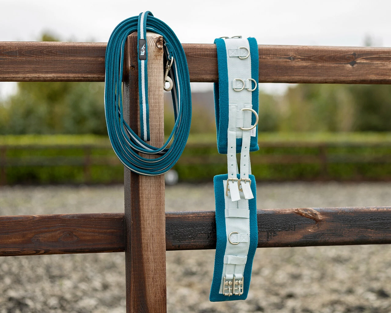 QHP Lunging Girth Thunderbolt Deep Lagoon - Image 2