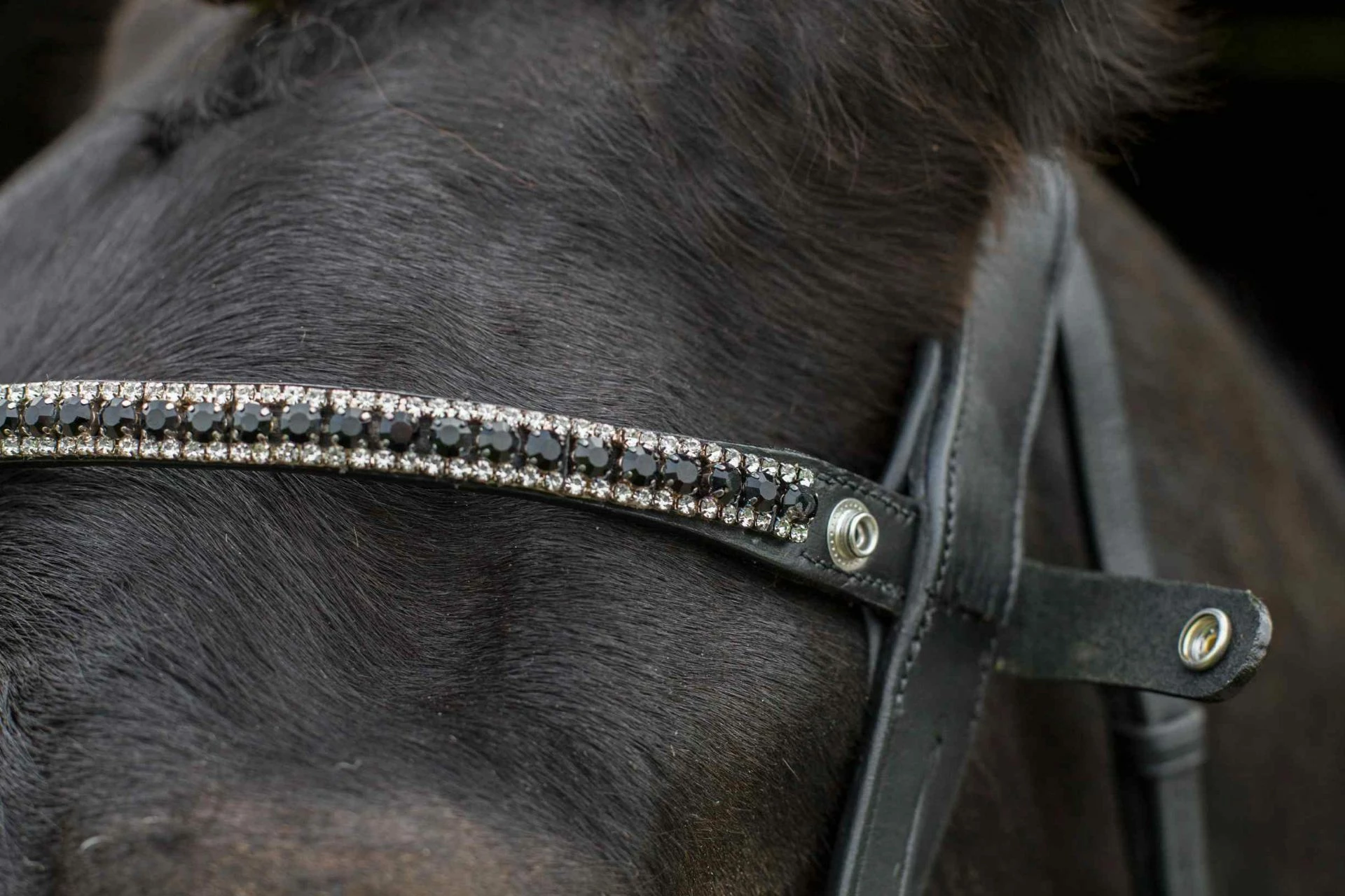 Eco Rider Juliette Browband Black - Image 2