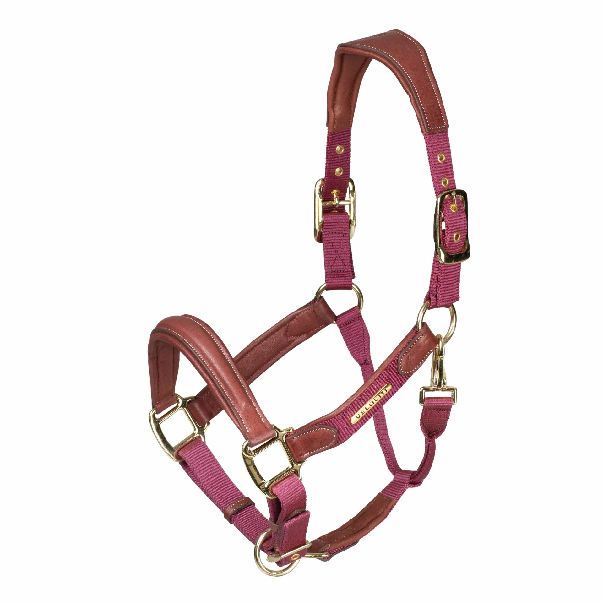 Shires Velociti Lusso Padded Leather Headcollar Burgundy