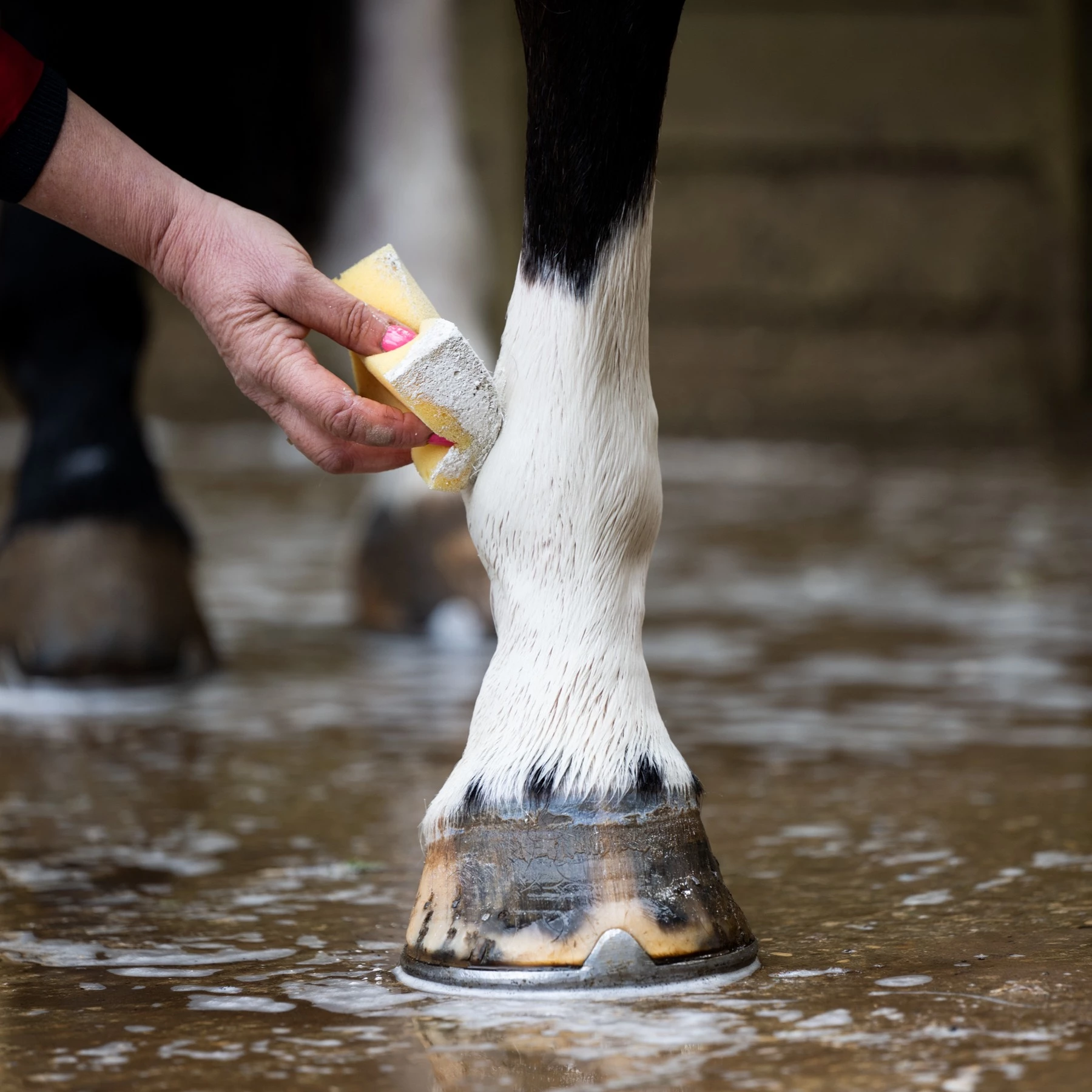 Smart Grooming Leg And Body Whitener Pouch 1kg - Image 2