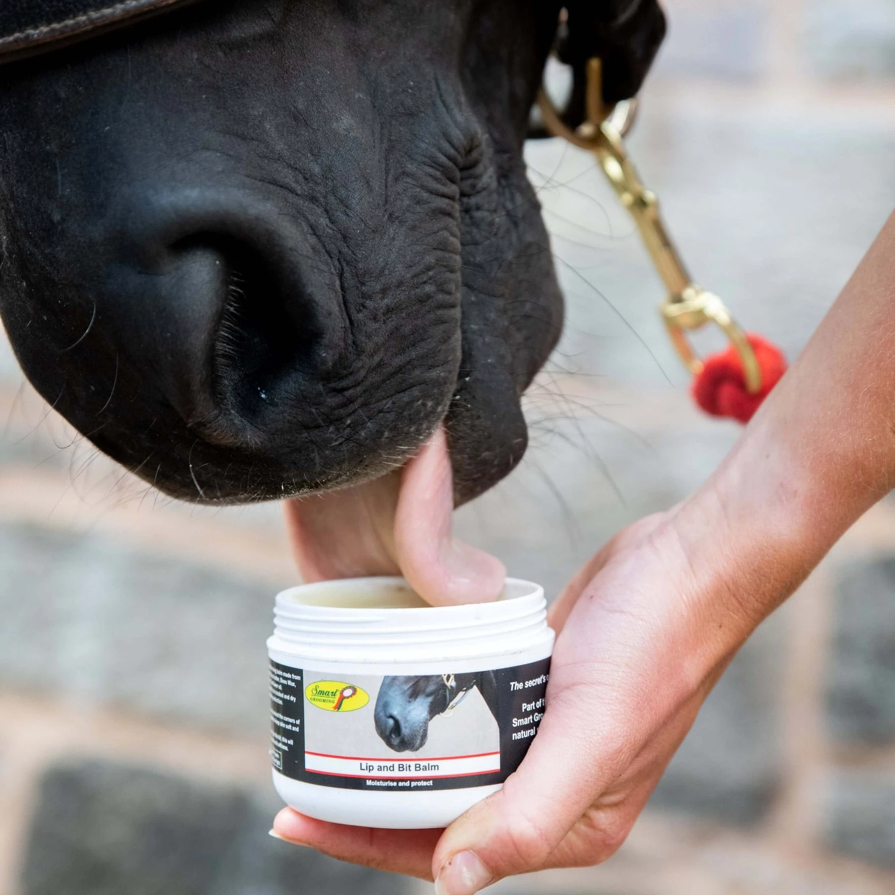 Smart Grooming Lip And Bit Balm 120g - Image 3